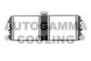 AUTOGAMMA 107420 Radiator, engine cooling